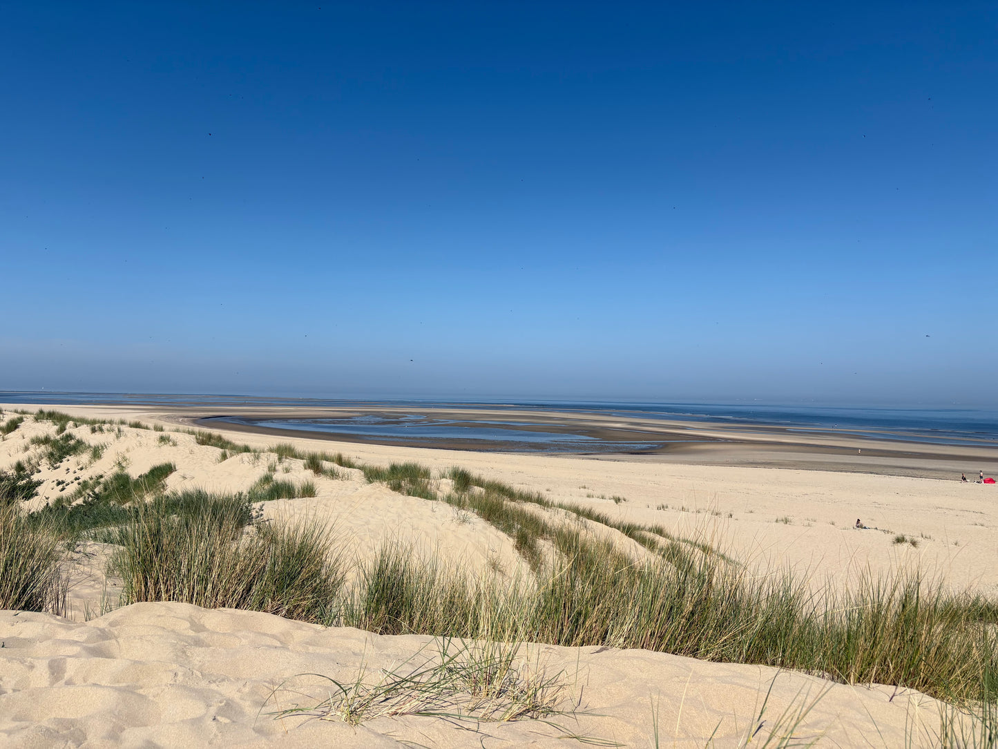 Bestattungskosten mit Urnenübergabe und Dünenverstreuung
