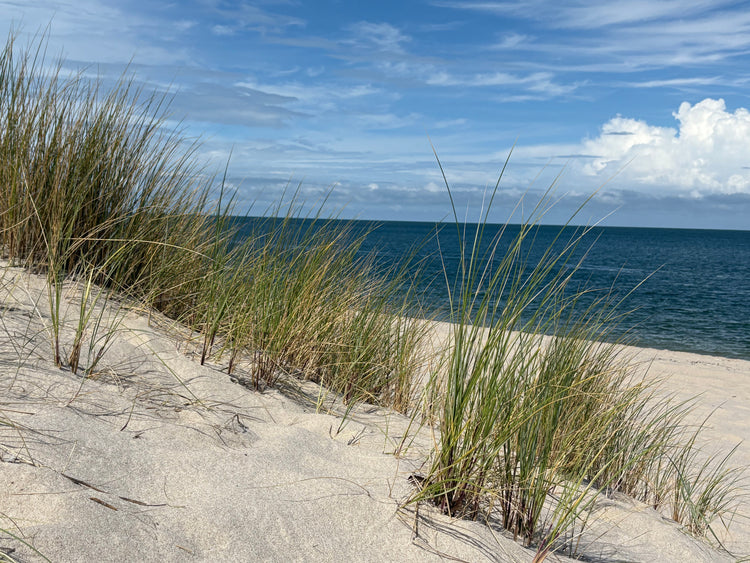 DüneDaheim Urne zuhause